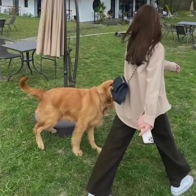 谁动了我的爱情