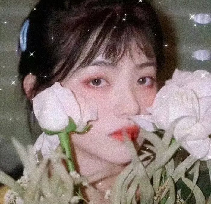 普通人行为指南
